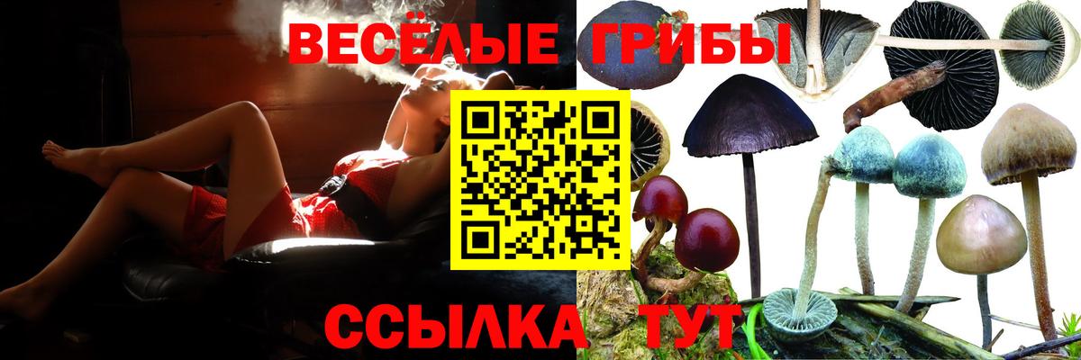 Псилоцибиновые грибы Psilocybine cubensis  Вход с VPN  Верхняя Пышма 